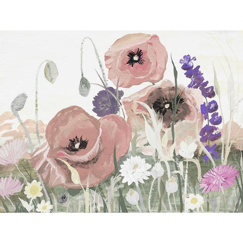 Victory Pink Poppies I Black Modern Wood Framed Art Print with Double Matting by Maria, Robin