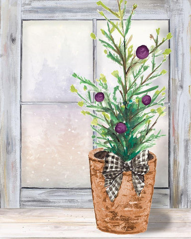 Christmas Fir on Window White Modern Wood Framed Art Print with Double Matting by Pinto, Patricia