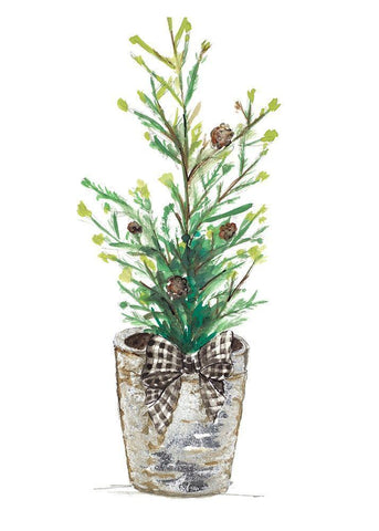 Christmas Fir II Black Ornate Wood Framed Art Print with Double Matting by Pinto, Patricia