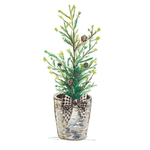 Christmas Fir II Gold Ornate Wood Framed Art Print with Double Matting by Pinto, Patricia