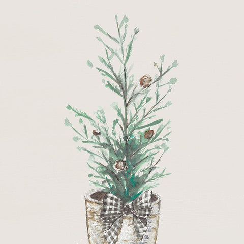 Christmas Fir II Black Modern Wood Framed Art Print with Double Matting by Pinto, Patricia