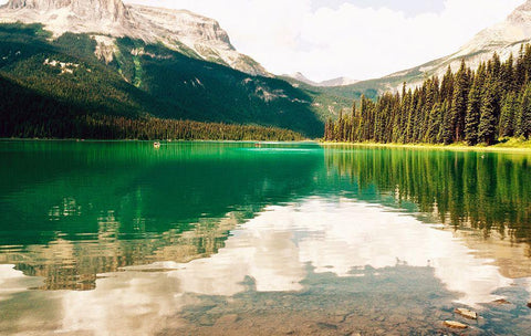 Clear Lake View Black Ornate Wood Framed Art Print with Double Matting by Peck, Gail