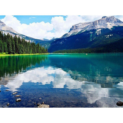 Clear Views White Modern Wood Framed Art Print by Peck, Gail