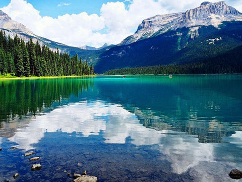 Clear Views White Modern Wood Framed Art Print with Double Matting by Peck, Gail