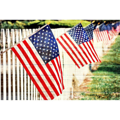 USA Fence Gold Ornate Wood Framed Art Print with Double Matting by Peck, Gail