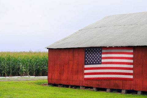 American Barn White Modern Wood Framed Art Print with Double Matting by Peck, Gail
