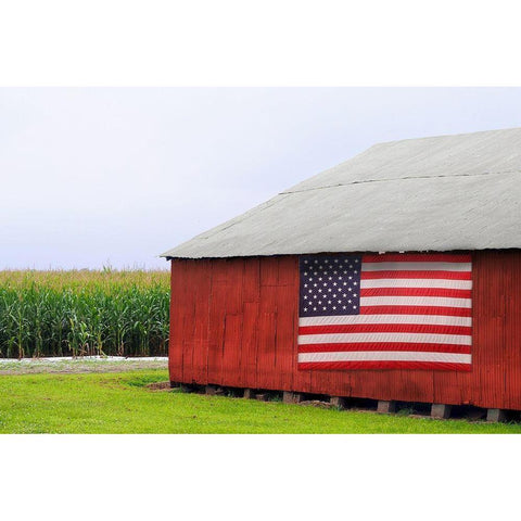 American Barn Black Modern Wood Framed Art Print with Double Matting by Peck, Gail