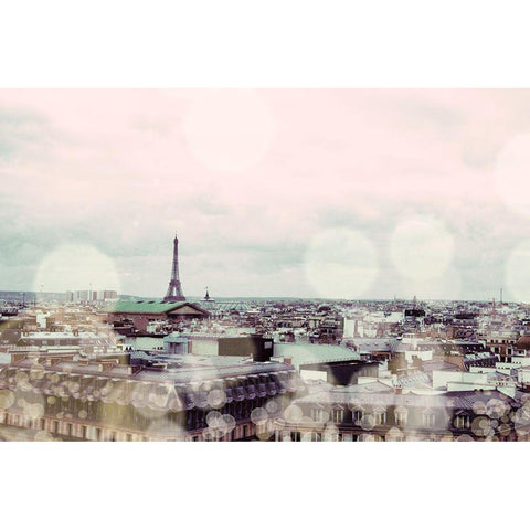 Rooftop Paris Gold Ornate Wood Framed Art Print with Double Matting by Navas, Emily