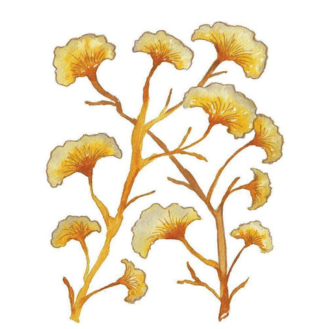 Gold Floral Branches Gold Ornate Wood Framed Art Print with Double Matting by Medley, Elizabeth