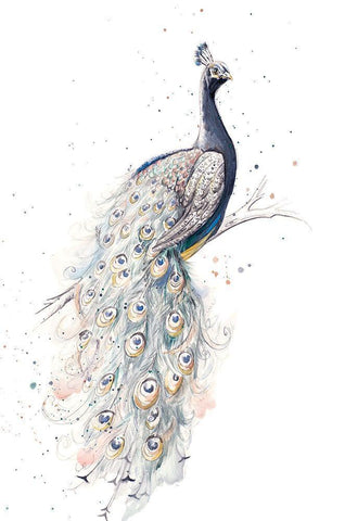 Peacock White Modern Wood Framed Art Print with Double Matting by Pinto, Patricia