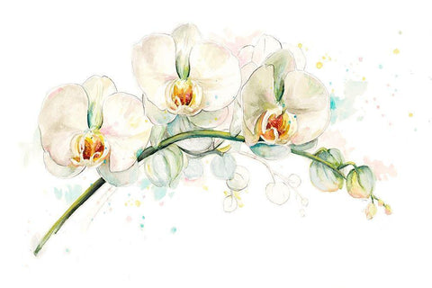 White Orchids White Modern Wood Framed Art Print with Double Matting by Pinto, Patricia