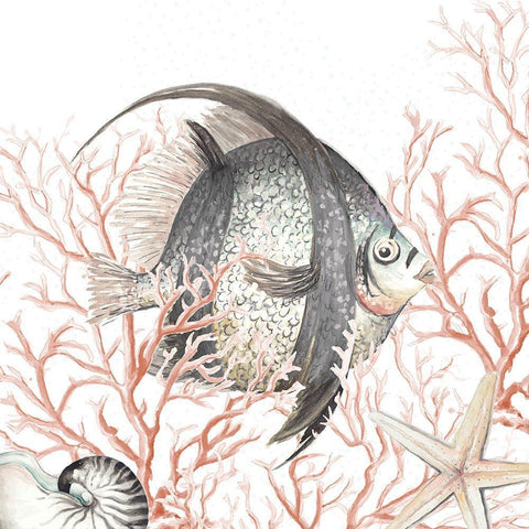 Ocean Fish On Coral White Modern Wood Framed Art Print with Double Matting by Pinto, Patricia