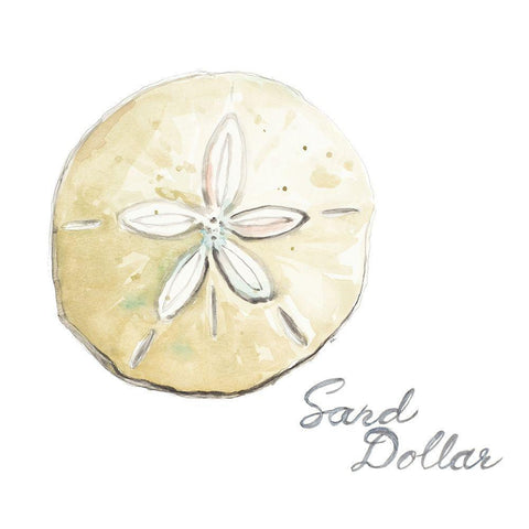 Sand Dollar White Modern Wood Framed Art Print by Pinto, Patricia