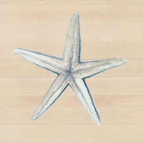 Starfish On Wood Background Black Ornate Wood Framed Art Print with Double Matting by Pinto, Patricia