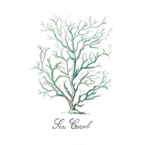 Sea Coral White Modern Wood Framed Art Print by Pinto, Patricia