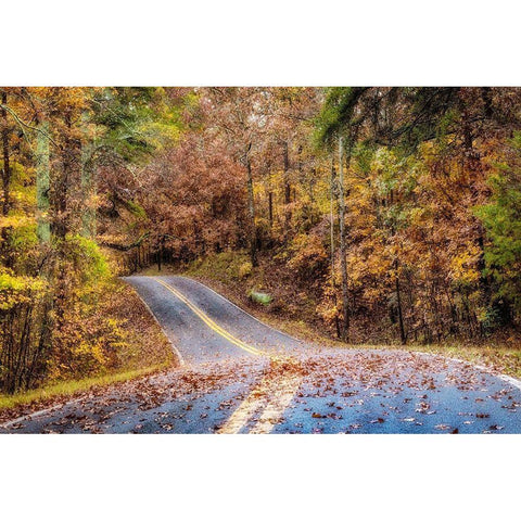 Woodland Road II Gold Ornate Wood Framed Art Print with Double Matting by Amos, Andy