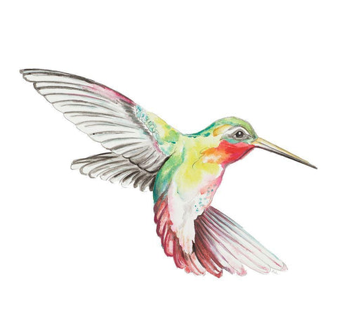 New Hummingbird I Black Ornate Wood Framed Art Print with Double Matting by Pinto, Patricia