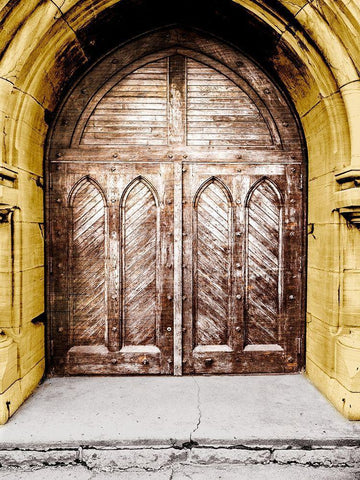 Golden Cathedral Door I Black Ornate Wood Framed Art Print with Double Matting by Bill Carson Photography