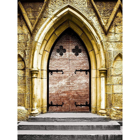 Golden Cathedral Door II White Modern Wood Framed Art Print by Bill Carson Photography