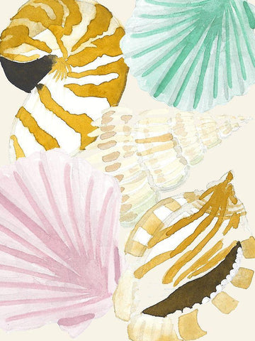 Seashell Collage Black Ornate Wood Framed Art Print with Double Matting by Bucheli, Jen
