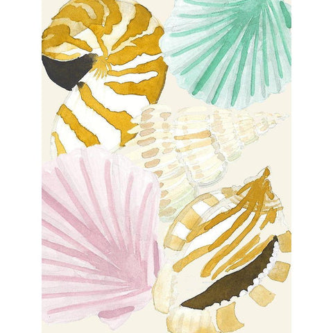 Seashell Collage Black Modern Wood Framed Art Print by Bucheli, Jen