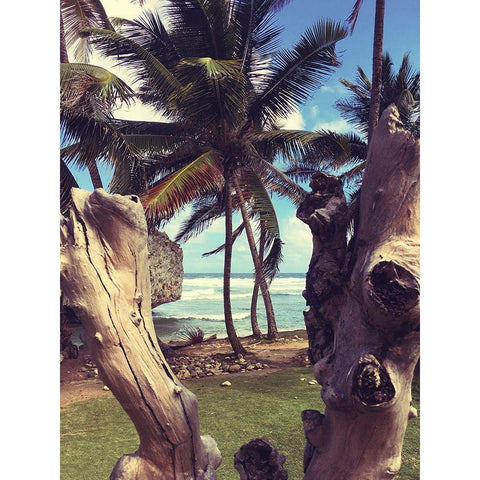 Oceanside Palms Black Modern Wood Framed Art Print by Coppel, Anna