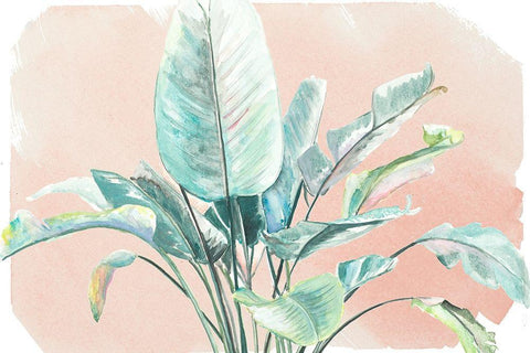 Jungle Gems on Blush II White Modern Wood Framed Art Print with Double Matting by Pinto, Patricia