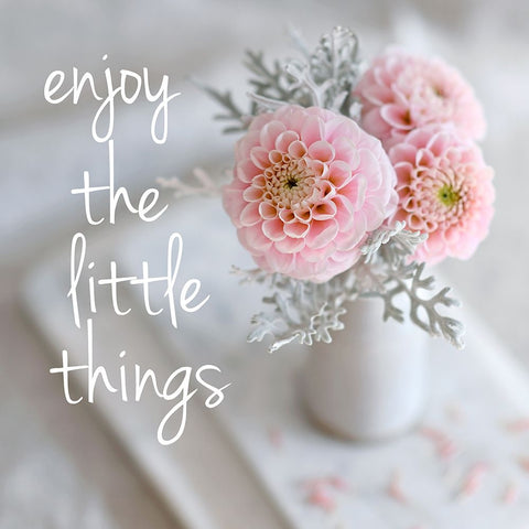 Enjoy the Little Things White Modern Wood Framed Art Print with Double Matting by Gardner, Sarah
