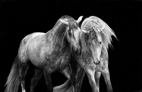 Two Friends White Modern Wood Framed Art Print with Double Matting by Walker, Carol