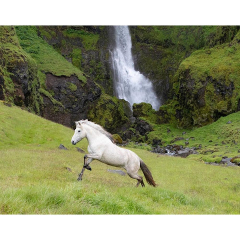 Waterfull Run Black Modern Wood Framed Art Print with Double Matting by Walker, Carol