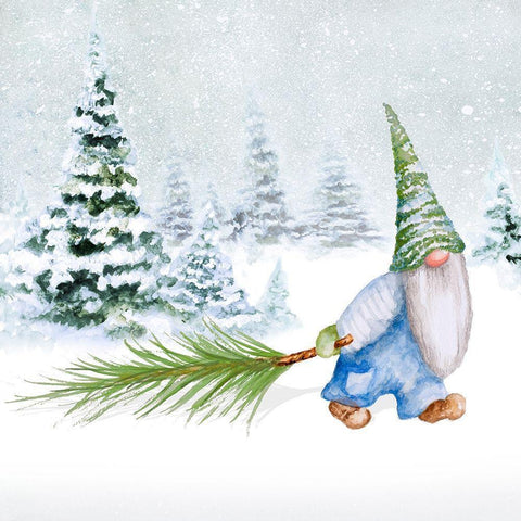 Gnomes on Winter Holiday I Black Modern Wood Framed Art Print with Double Matting by Gaynor, Janice