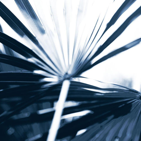 Among Blue Palms I Black Modern Wood Framed Art Print by Bryant, Susan