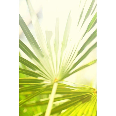Among Palms I Black Modern Wood Framed Art Print by Bryant, Susan