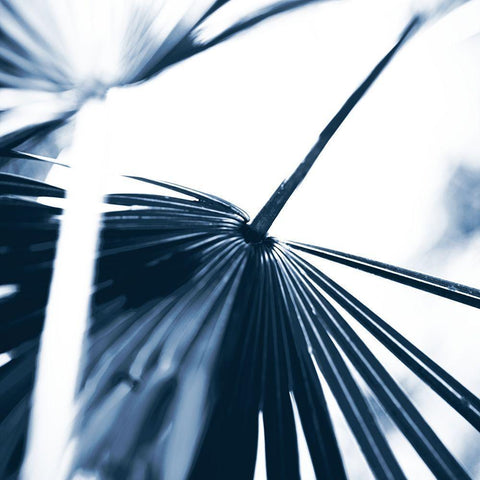 Among Blue Palms II White Modern Wood Framed Art Print by Bryant, Susan