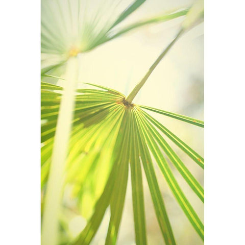 Among Palms II Gold Ornate Wood Framed Art Print with Double Matting by Bryant, Susan