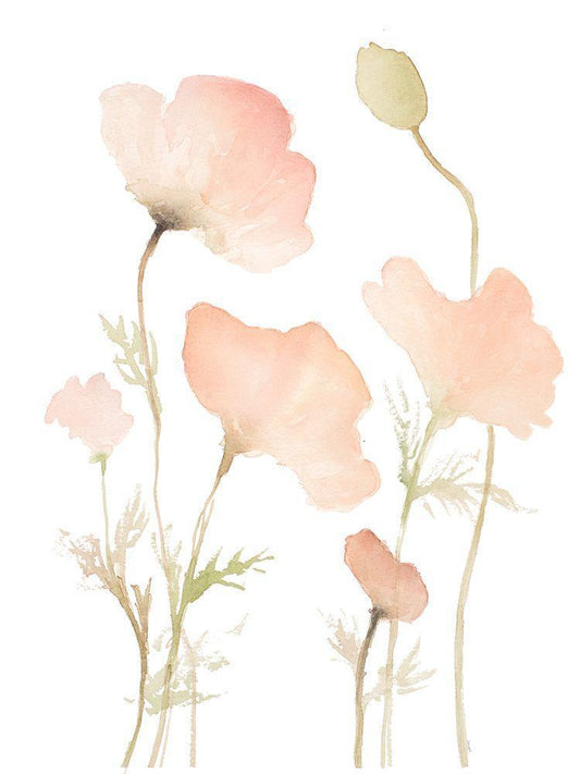 Image Only