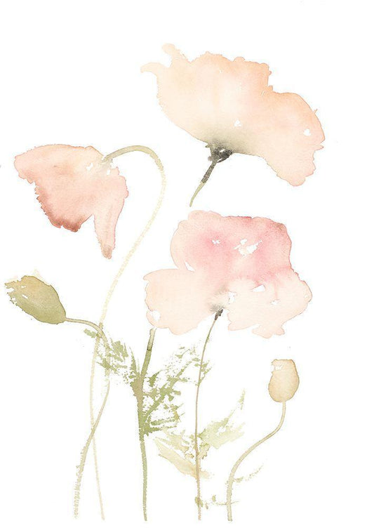 Image Only