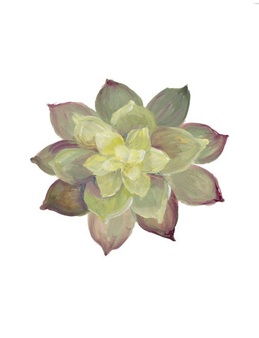 Succulent I White Modern Wood Framed Art Print with Double Matting by Loreth, Lanie