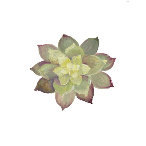 Succulent I Gold Ornate Wood Framed Art Print with Double Matting by Loreth, Lanie