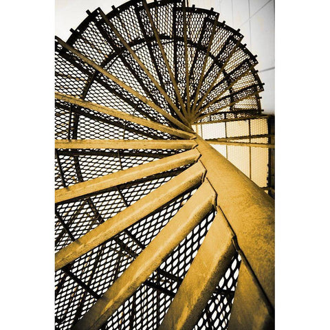 Golden Staircase Spiral Gold Ornate Wood Framed Art Print with Double Matting by Wilson, Kali