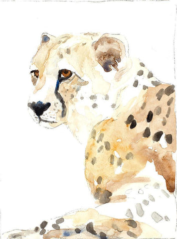 Seated Cheetah White Modern Wood Framed Art Print with Double Matting by Loreth, Lanie