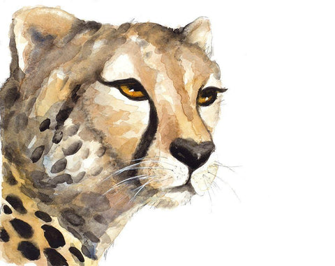 Cheetah Portrait White Modern Wood Framed Art Print with Double Matting by Loreth, Lanie