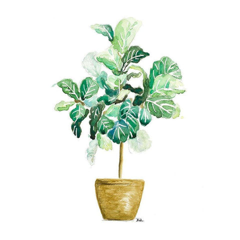 Fig Plant Black Modern Wood Framed Art Print by Pinto, Patricia