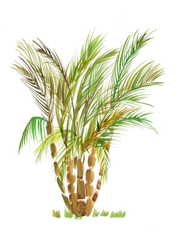 The Palm IV Black Ornate Wood Framed Art Print with Double Matting by DeRice, Julie