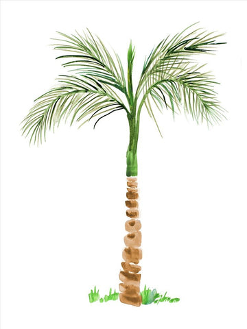 The Palm II White Modern Wood Framed Art Print with Double Matting by DeRice, Julie