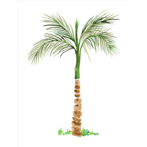 The Palm II White Modern Wood Framed Art Print by DeRice, Julie