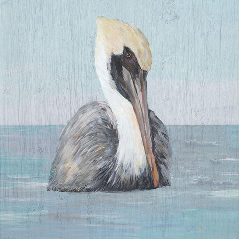Pelican Wash II White Modern Wood Framed Art Print with Double Matting by DeRice, Julie