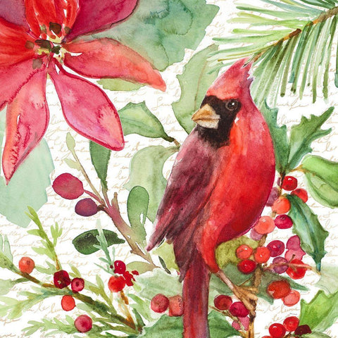 Poinsettia and Cardinal I White Modern Wood Framed Art Print by Loreth, Lanie