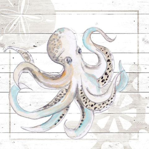 Explore Nautical V White Modern Wood Framed Art Print with Double Matting by Pinto, Patricia