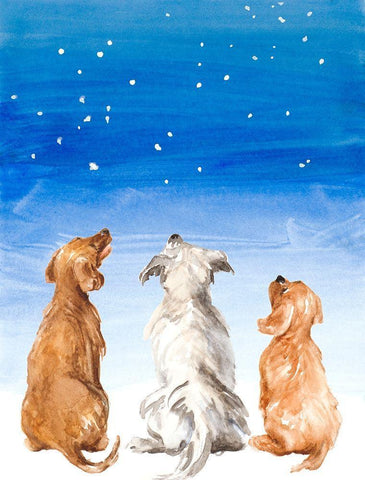 Three Dogs Star Gazing Black Ornate Wood Framed Art Print with Double Matting by Loreth, Lanie